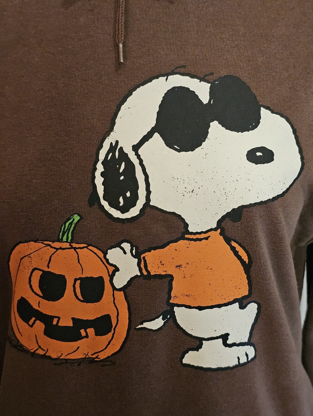 Peanuts Snoopy Pumpkin Brown Hoodie Sweatshirt XXS Halloween Fall Graphic - Picture 5 of 11